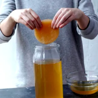 fermentate