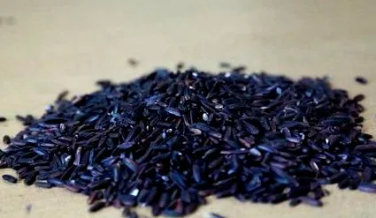 orezul