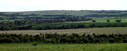 хранене