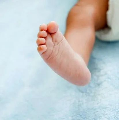 preemies
