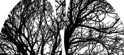 белите