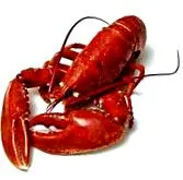 морски дарове