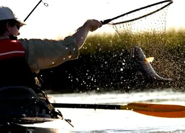 vörös