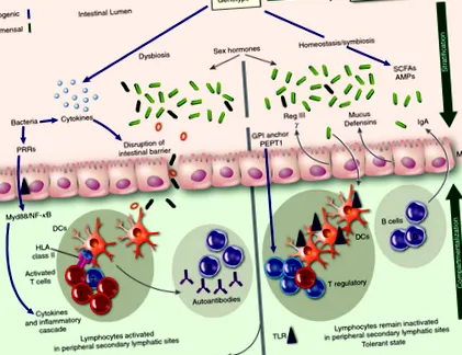 microbiotei