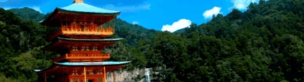 japoneză