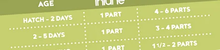 intune