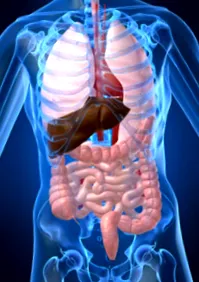 detoxifiere zile