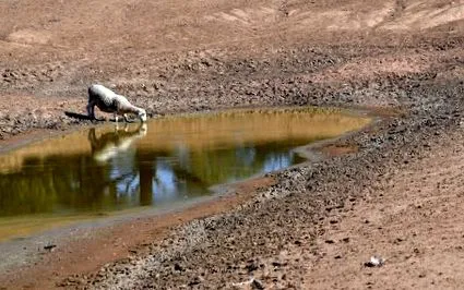 производството