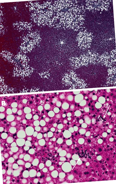 biolabs