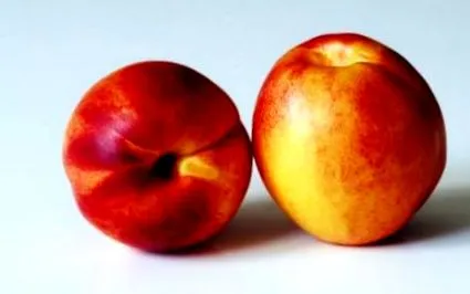 nectarine