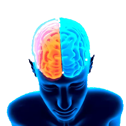 neurobest