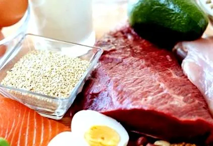 proteinelor
