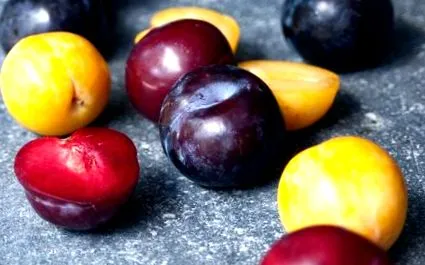 prune