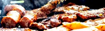 кучета кучета