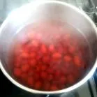 ръководство rosehip