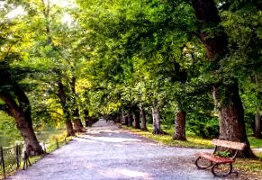 самонараняване