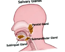submandibulare