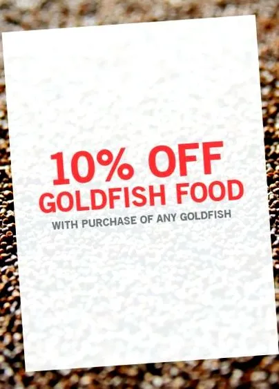 koigoldfish