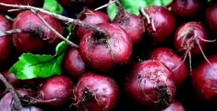 beet