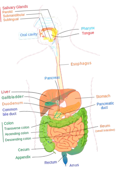 sistemului