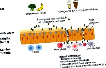 carboximetilcelulozei