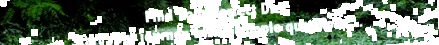 greenprint