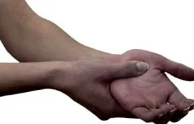 legfontosabb