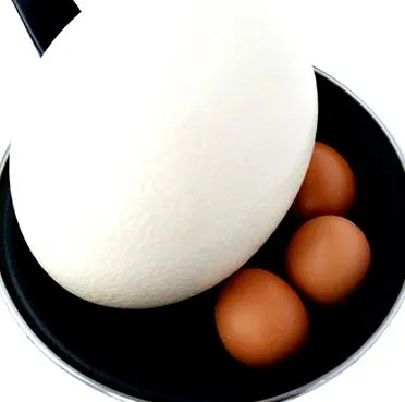 яйца
