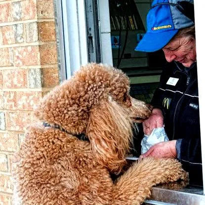 защо