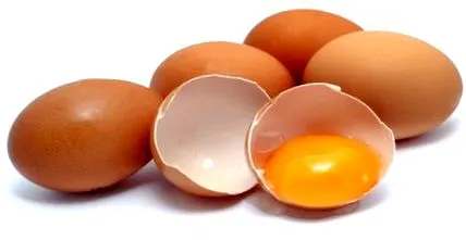 egészséges