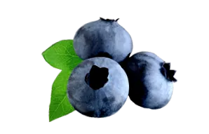 плодове