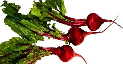 recept