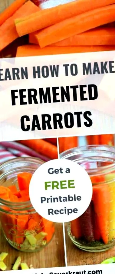 fermentate
