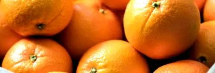 ядете