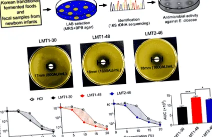 lmt1-48