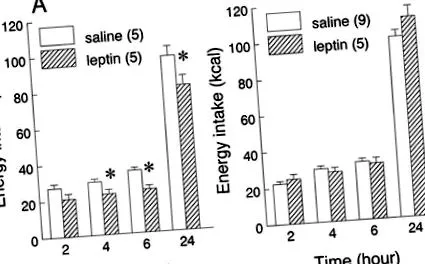 leptinre