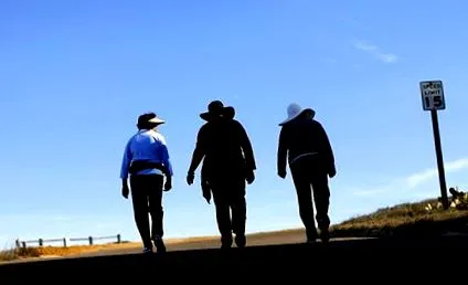 proteja