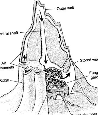 áttekintés ScienceDirect