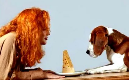 mănânce