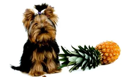 ananas