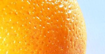 cellulit