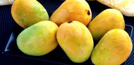 mango