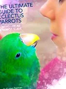 dietetice