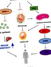 peptidek