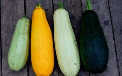 nutri
