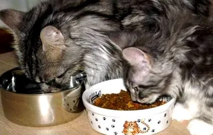 куун