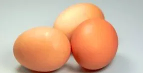 copii dovleac