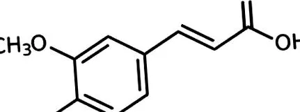 enzimes