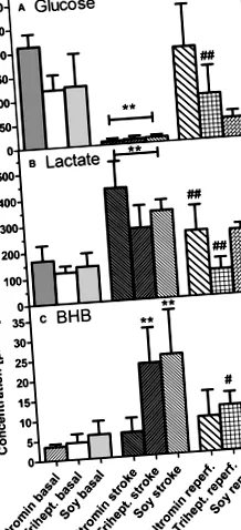 ketogeneza