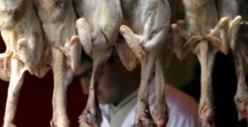 carne